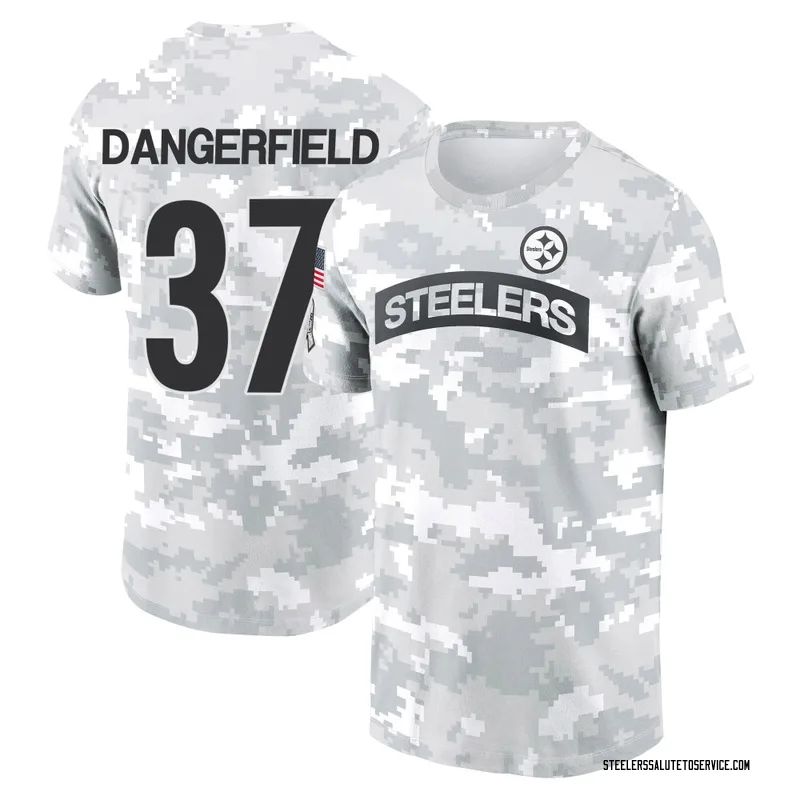 Men's Jordan Dangerfield Pittsburgh Steelers Camo Arctic 2024 Salute to Service Performance T-Shirt